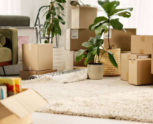 Moving boxes in a living room stock photo