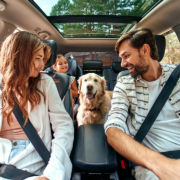 Family with dog in the car stock photo