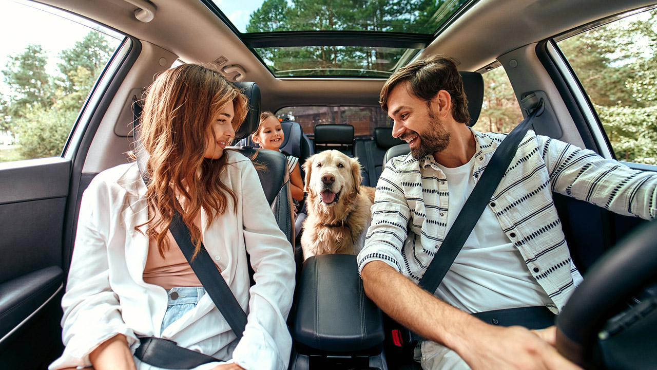 Family with dog in the car stock photo